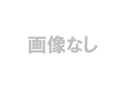 マキタ ケース TD172DRGX専用の中古 未使用品 《東京・調布》中古工具